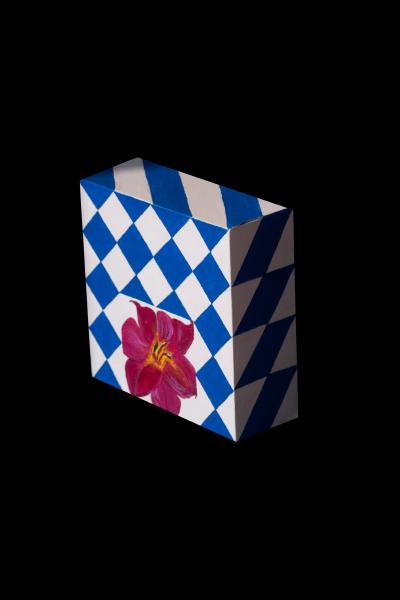 Flowers in a Geometrical Box