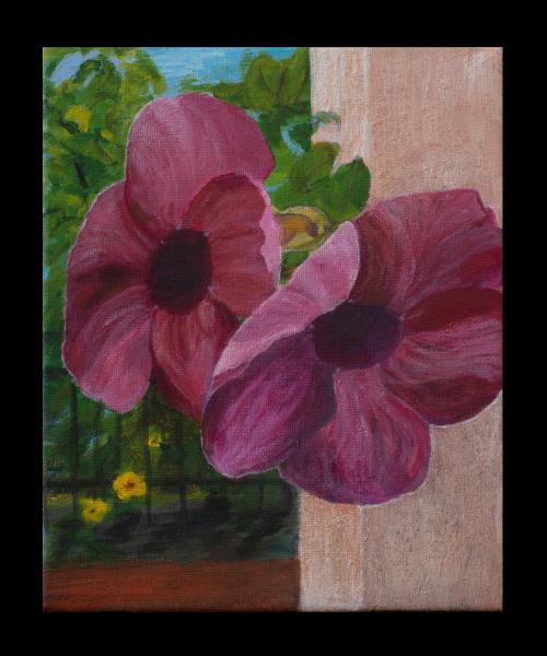 Terrace View Bangalore